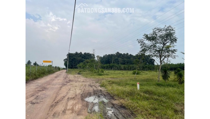 Giảm sốc 46 tỷ! 4.7Ha Đất SHR Sát sân bay Long Thành – Long An Đồng Nai SSS